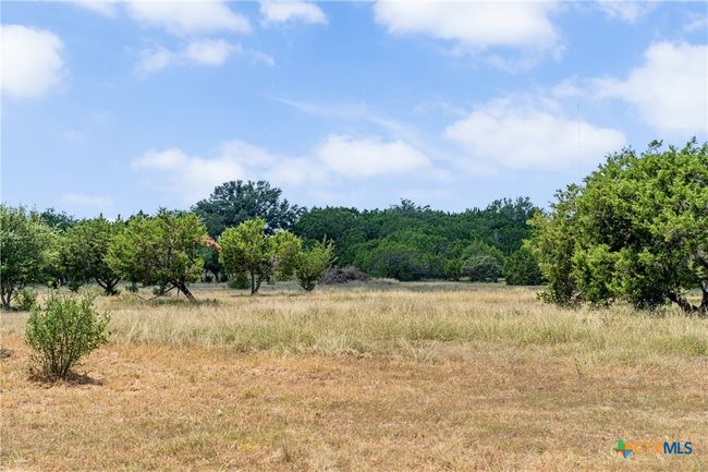 12290 Crows Ranch Rd, Home with 0 bedrooms, 0 bathrooms and null parking in Salado TX | Image 8