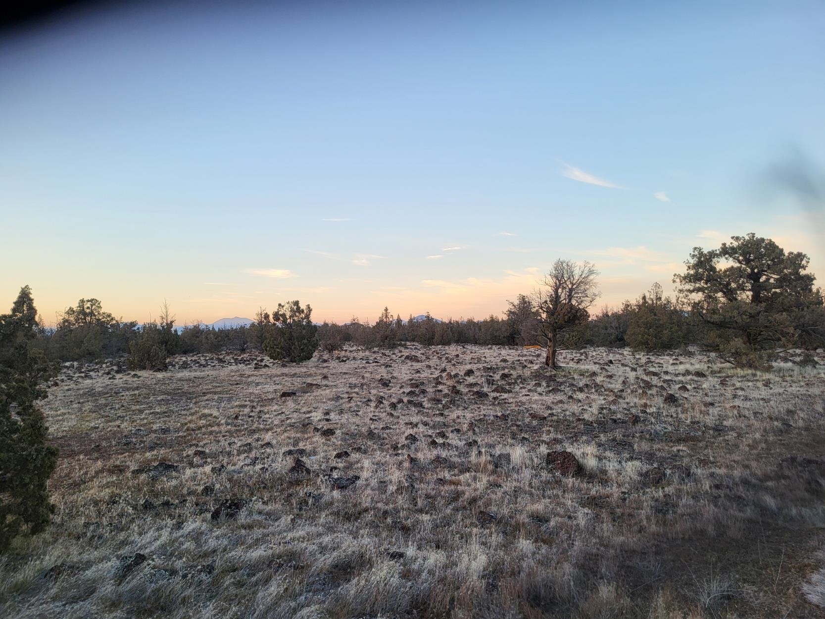 Land in Montague 2