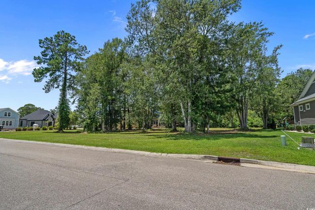 View of asphalt street featuring curbs | Image 5