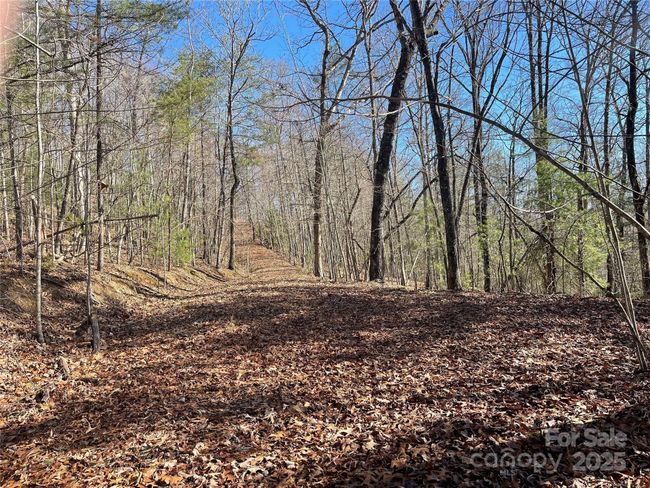 0000 Pine Log Rd, Home with 0 bedrooms, 0 bathrooms and null parking in Warne NC | Image 14