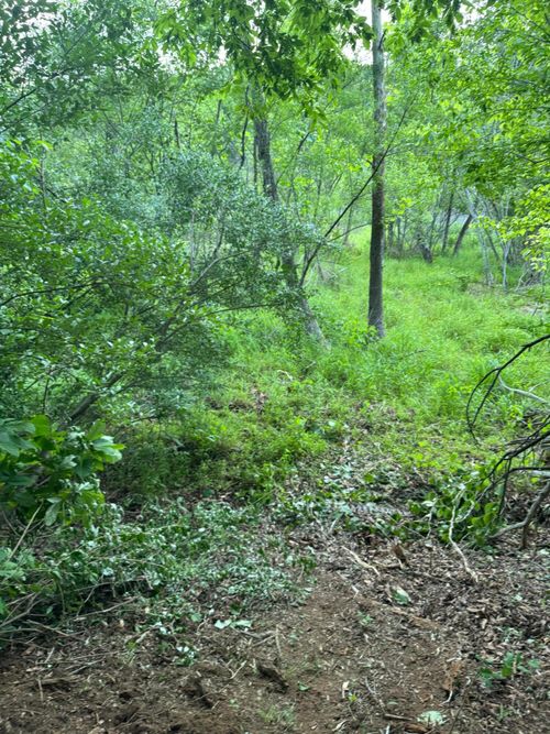 Lot 77 N Church Dr, Hardy, VA, 24101 | Card Image