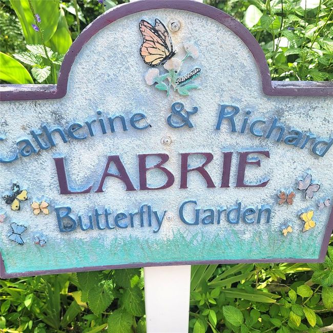 Butterfly Garden Across Street | Image 54