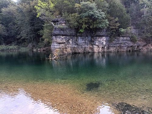 1100 Hattie Rd, Willow Springs, MO, 65793-8984 | Card Image