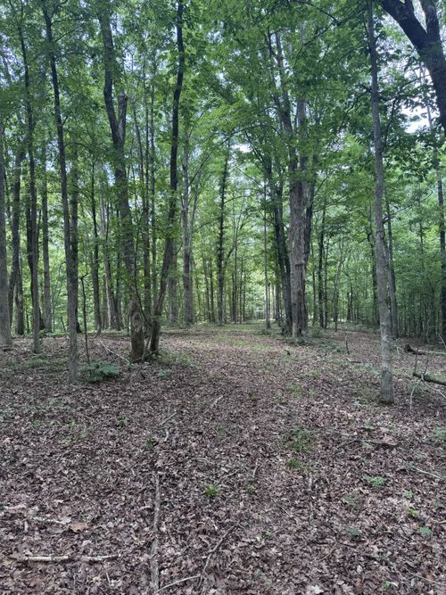 0 Jack Saunders Rd, Waverly, TN, 37185 | Card Image