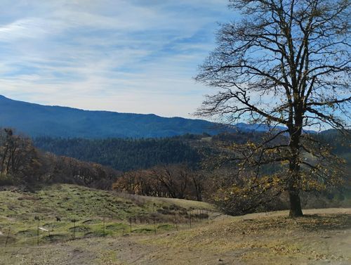 11 Dinsmore Rd, Bridgeville, CA, 95526-9629 | Card Image