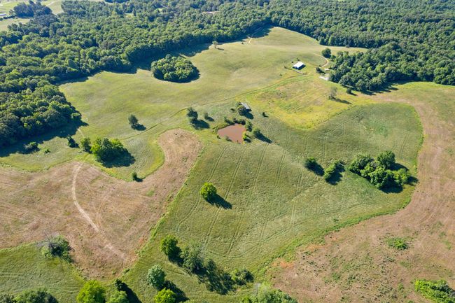 0 Happy Hills Acre Rd, Home with 0 bedrooms, 0 bathrooms and null parking in Woodlawn TN | Image 26