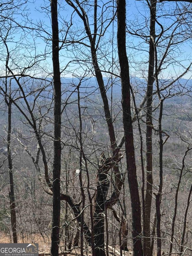 7349 Starlight Ln, Home with 0 bedrooms, 0 bathrooms and null parking in Jasper GA | Image 8
