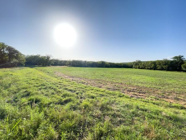View of yard featuring a view of rural / pastoral area | Image 20