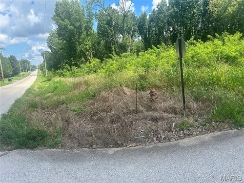 0 Tamarak Ln, Dexter, MO, 63841 | Card Image