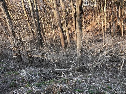 V/L Culver Road, Brighton Township, MI, 48114 | Card Image