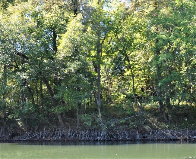 000 Dallas 273 Rd, Home with 0 bedrooms, 0 bathrooms and null parking in Sparkman AR | Image 4