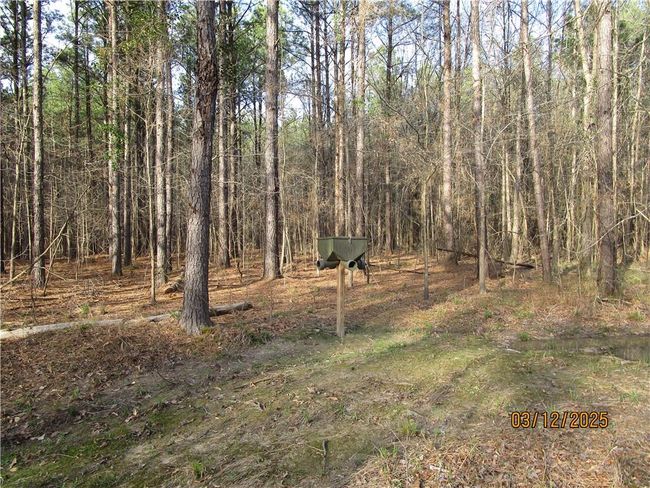 0 Obie Smith Road, Home with 0 bedrooms, 0 bathrooms and null parking in Atlanta LA | Image 15