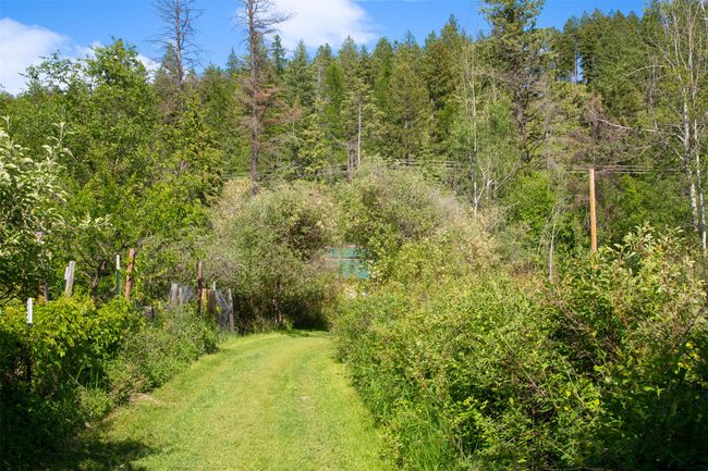 View of green lawn with a forest view | Image 64
