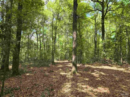 1131 Wolf Log Rd, Flomaton, AL, 36441-3635 | Card Image