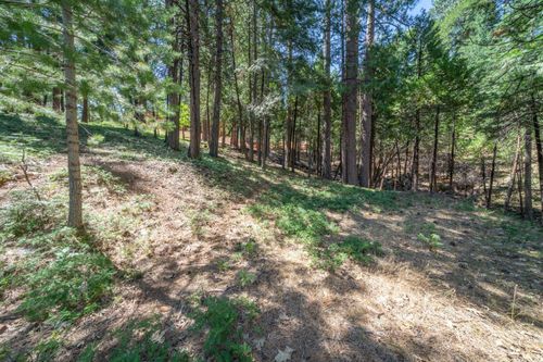 2595 Chamonix Dr, Arnold, CA, 95223-7766 | Card Image