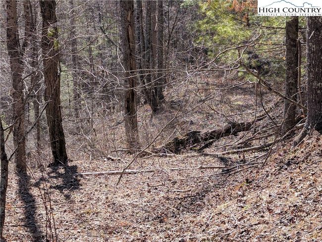 One of several logging roads that connect the property | Image 11