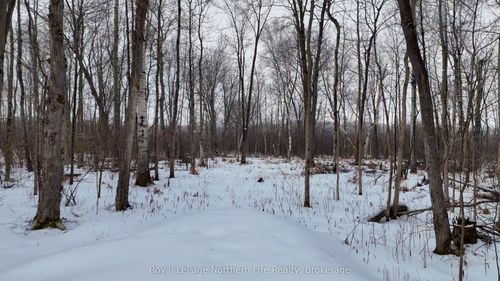 PART 3 Lot 26 Tillicum Bay Road, Callander, ON, P0H1H0 | Card Image