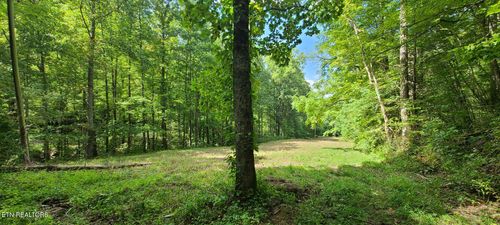 33 Cosby Hwy, Cosby, TN, 37722-2839 | Card Image