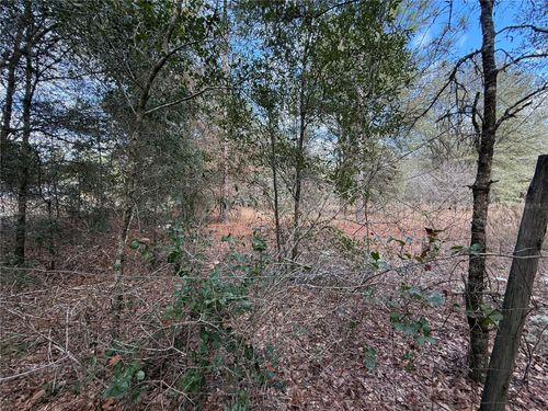 TBD Ne 194th St, CITRA, FL, 32113 | Card Image