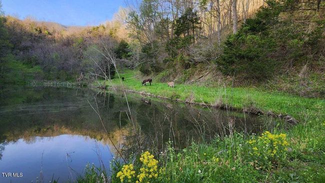 251 Fee Trl, House other with 6 bedrooms, 6 bathrooms and null parking in Ewing VA | Image 84