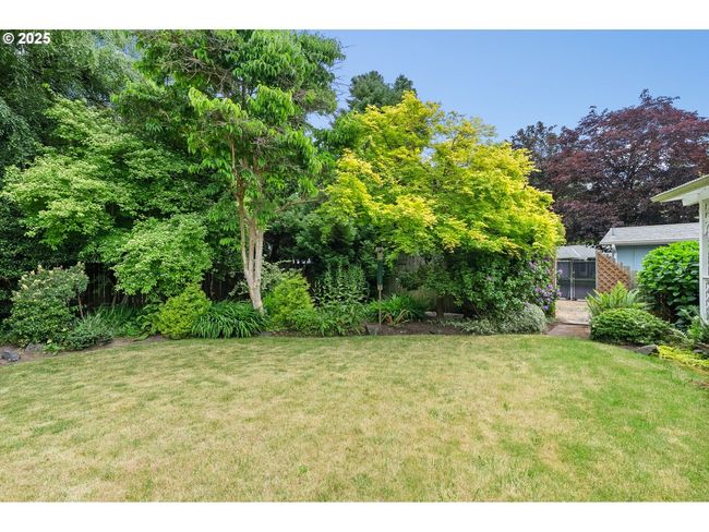 Backyard | Image 37
