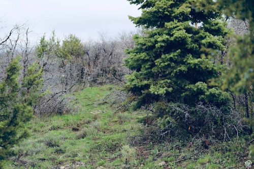 143-14055 S Oak Ridge Cir, Mt Pleasant, UT, 84647 | Card Image