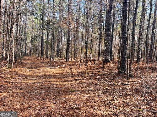0 Tuck Persons Hwy, Waverly hall, GA, 31831 | Card Image