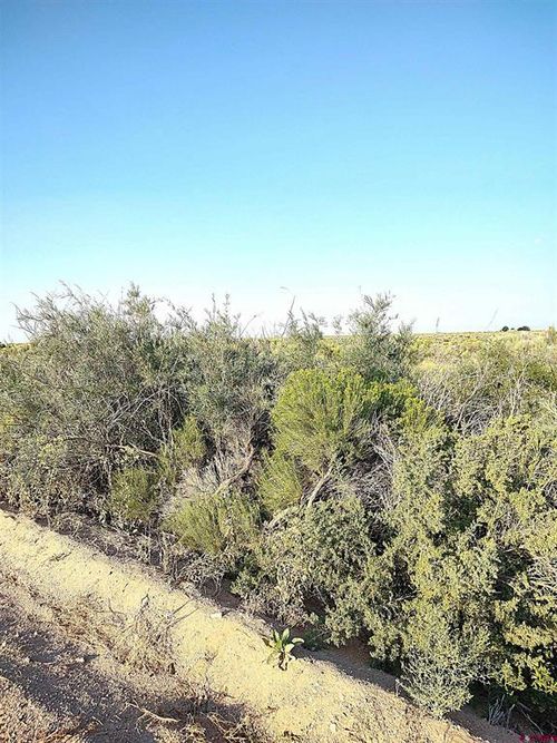 1 Subdivsion Plat For Area 420, Moffat, CO, 81143 | Card Image