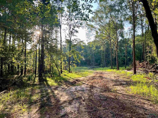 2735 Brandy Rd, Home with 0 bedrooms, 0 bathrooms and null parking in New Diana TX | Image 8