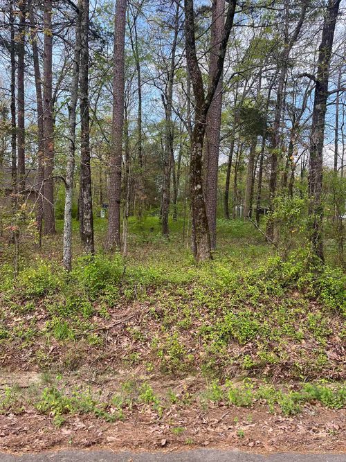 Lot #2 Lynch Rd., Clinton, AR, 72013 | Card Image