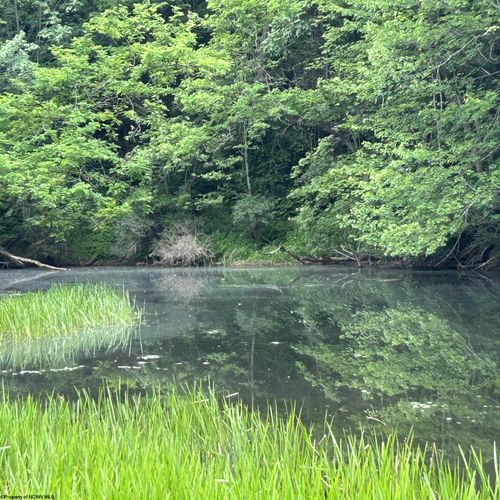 1328 Moyers Rd, Bruceton Mills, WV, 26525 | Card Image