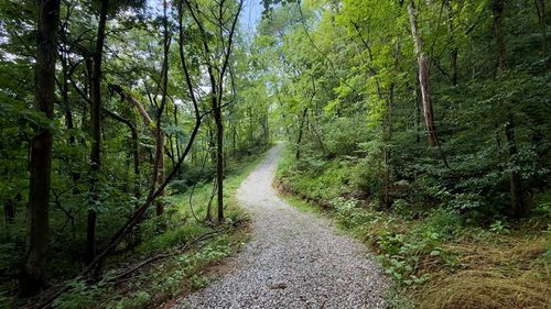 18 AC E Main St, Dowelltown, TN, 37059 | Card Image