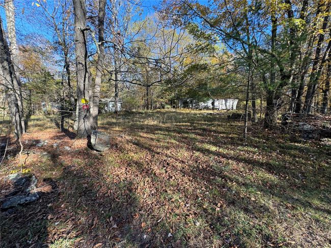 View of yard | Image 7