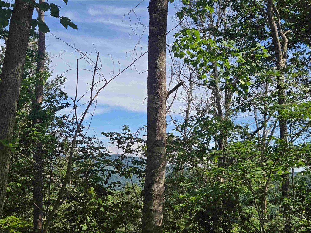 Land in Sugar Mountain