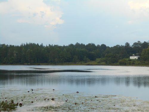 0 Drury Ln, Alford, FL, 32420 | Card Image