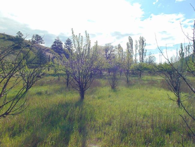 27235 Lazy Springs Rd, Home with 0 bedrooms, 0 bathrooms and null parking in Clinton MT | Image 19