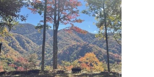 241 Bloom Trail, Sylva, NC, 28779 | Card Image