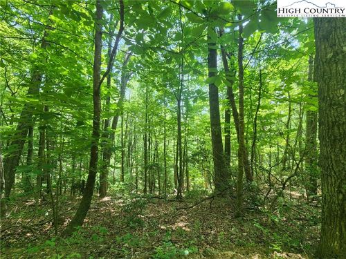 TBD Hollow Point Dr, West Jefferson, NC, 28694 | Card Image