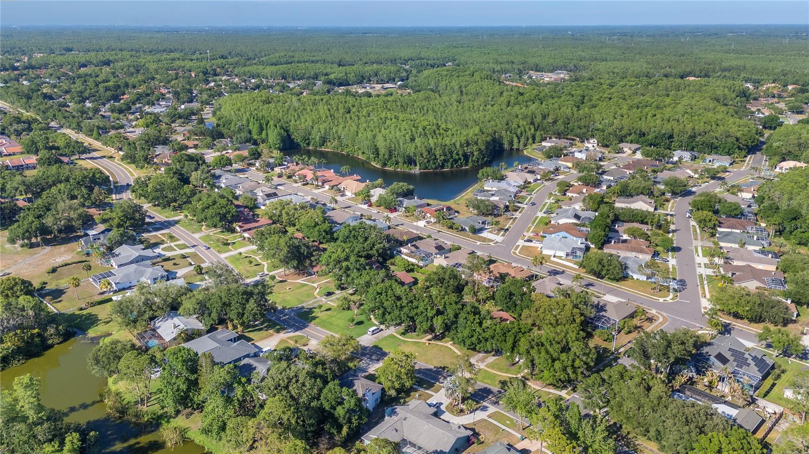 Residential in PALM HARBOR