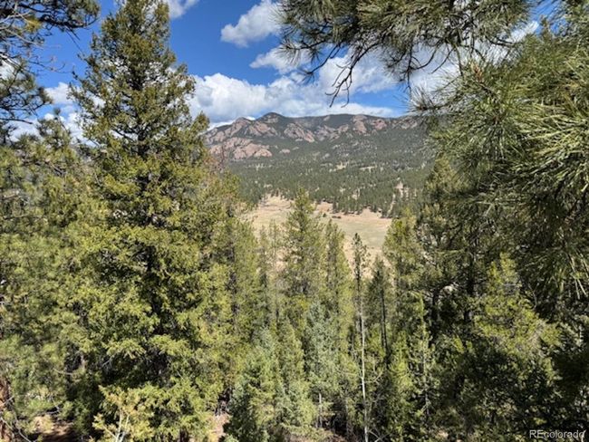33505 Diana Rd, House other with 3 bedrooms, 3 bathrooms and 2 parking in Pine CO | Image 4