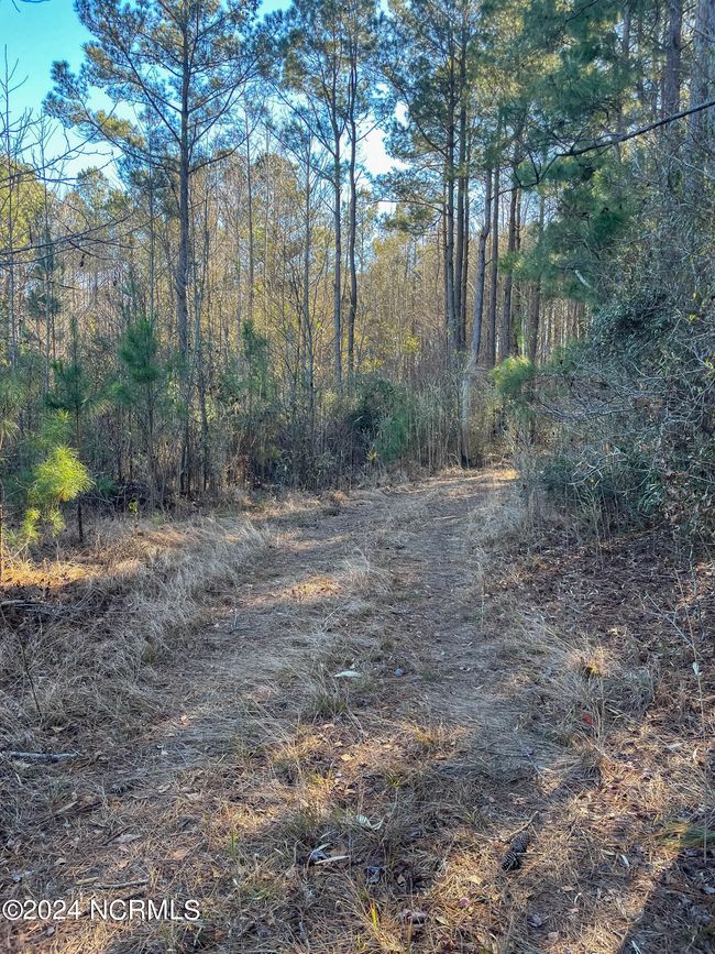 00 Sykes Town Rd, Home with 0 bedrooms, 0 bathrooms and null parking in Currie NC | Image 55