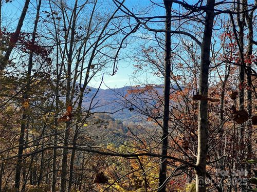 4-135 Paisley Ln, Pisgah Forest, NC, 28768-8685 | Card Image