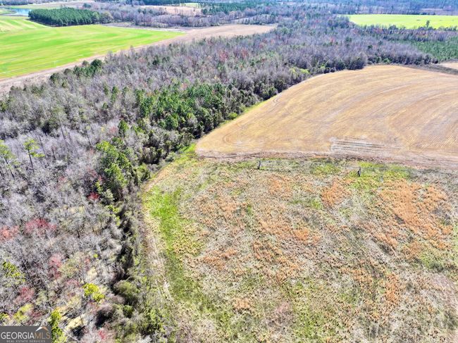 2819 Stripling Rd, Home with 0 bedrooms, 0 bathrooms and null parking in Dexter GA | Image 18