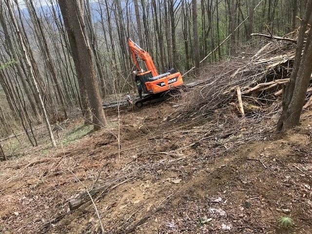 Land in Waynesville 3