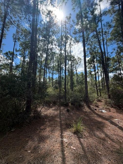 421 Amorous Ave, Lake Placid, FL, 33852 | Card Image