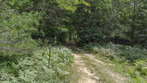 Parcel F Vans Lane, Fife Lake Township, MI, 49633 | Card Image