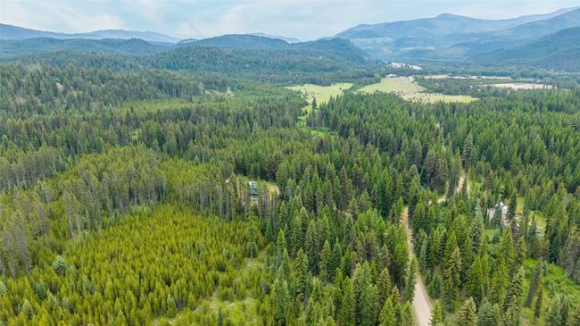Mountain view with a heavily wooded area | Image 6