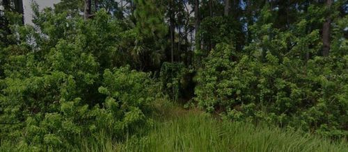 447 Trumpet St Sw, PALM BAY, FL, 32908-3418 | Card Image