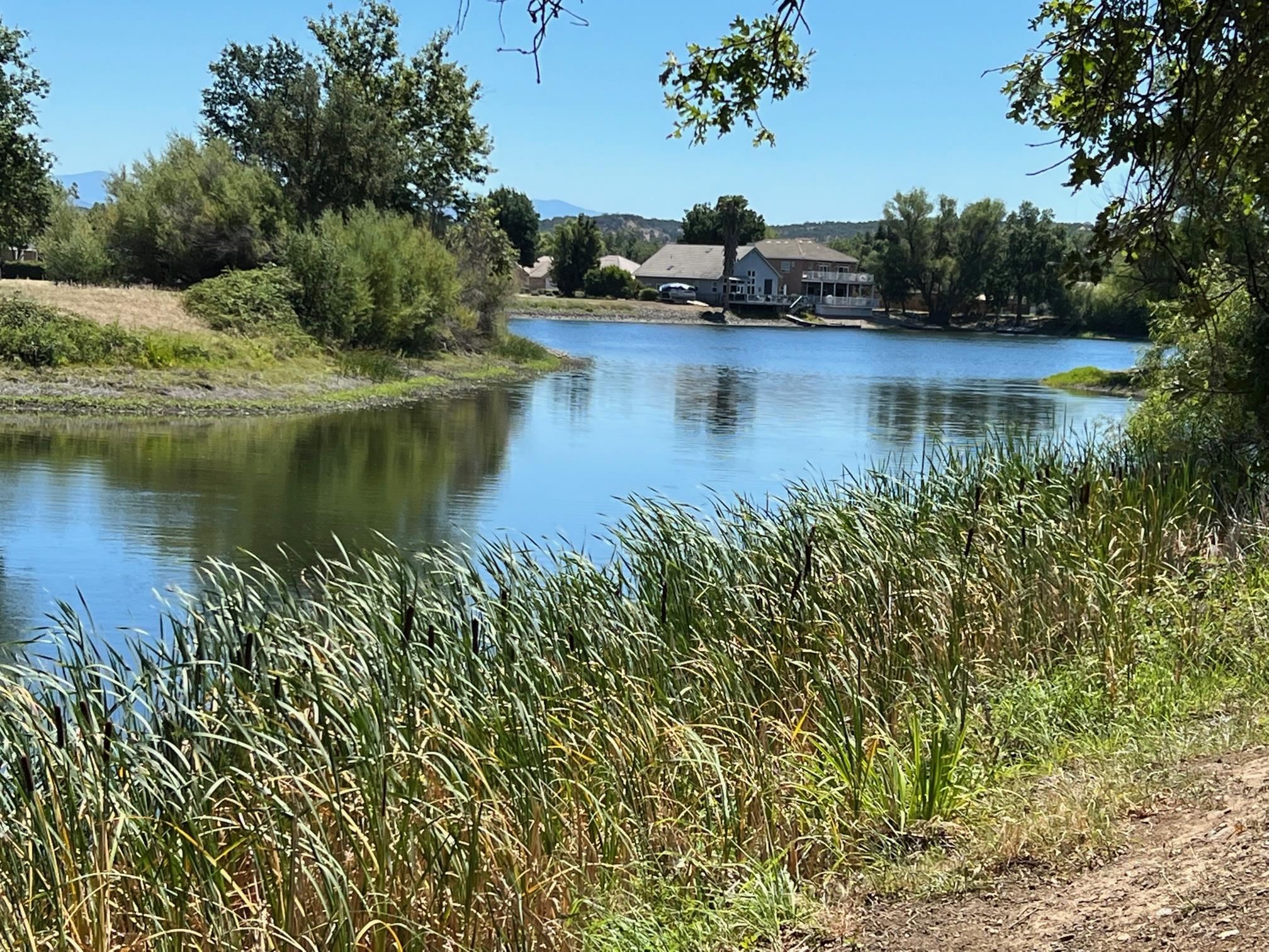 Land in Cottonwood 5