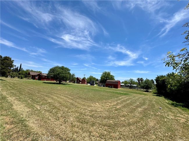 Trees Surrounding the Property | Image 11